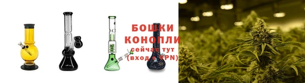 мяу мяу мука Богданович