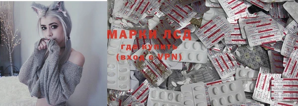 мяу мяу мука Богданович