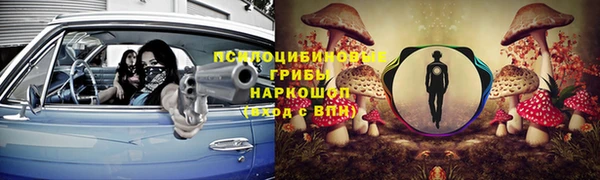 мяу мяу мука Богданович