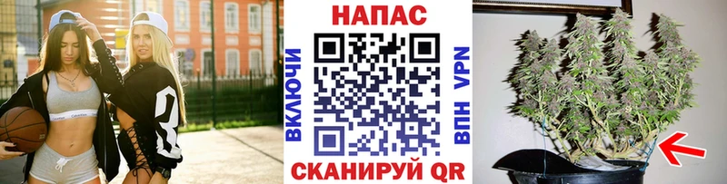 Купить где  Осташков  Канабис THC 21% 